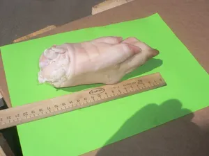 Frozen Pork Front , Hind Feet